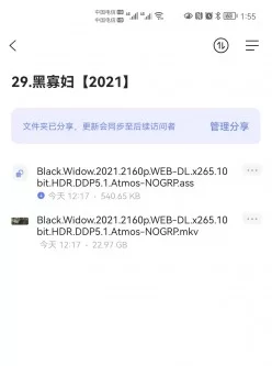 黑寡妇 2160P 超清22.97GB分享